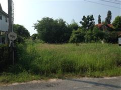 0 - 1 - 83 Rai for sale - Land - Bang Saray - 