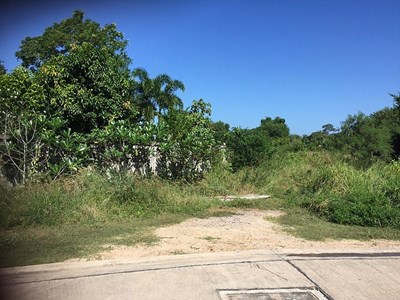 Land For Sale -1 Rai  Bangsaray  - Land - Bangsaray Beach - Bangsaray